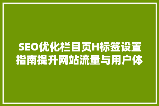 SEO优化栏目页H标签设置指南提升网站流量与用户体验