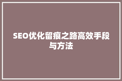 SEO优化留痕之路高效手段与方法