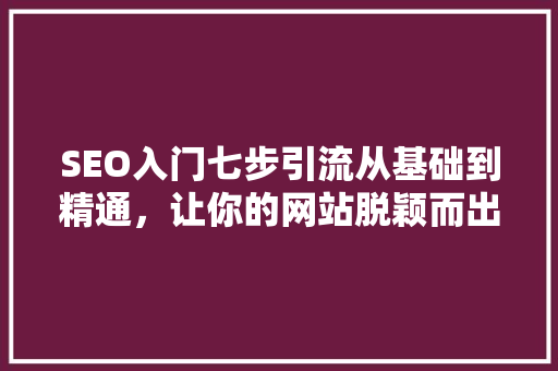 SEO入门七步引流从基础到精通，让你的网站脱颖而出