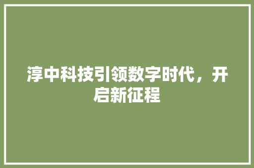 淳中科技引领数字时代，开启新征程