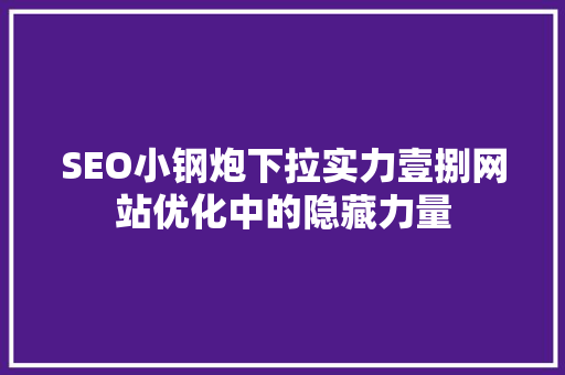 SEO小钢炮下拉实力壹捌网站优化中的隐藏力量