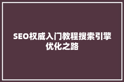 SEO权威入门教程搜索引擎优化之路