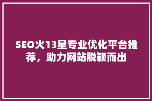 SEO火13星专业优化平台推荐，助力网站脱颖而出