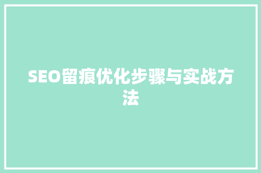 SEO留痕优化步骤与实战方法