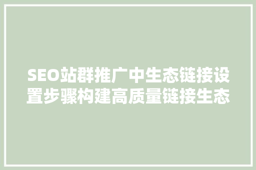 SEO站群推广中生态链接设置步骤构建高质量链接生态圈