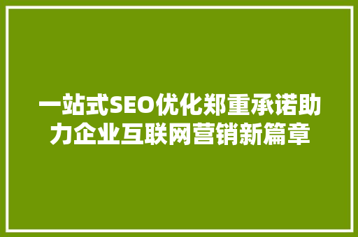 一站式SEO优化郑重承诺助力企业互联网营销新篇章
