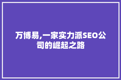 万博易,一家实力派SEO公司的崛起之路