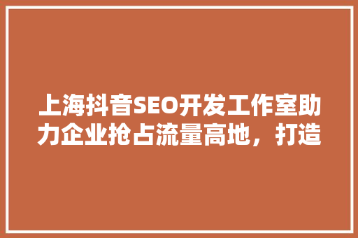 上海抖音SEO开发工作室助力企业抢占流量高地，打造短视频营销新格局