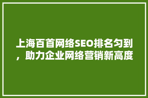 上海百首网络SEO排名匀到，助力企业网络营销新高度