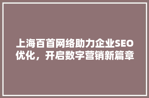 上海百首网络助力企业SEO优化，开启数字营销新篇章