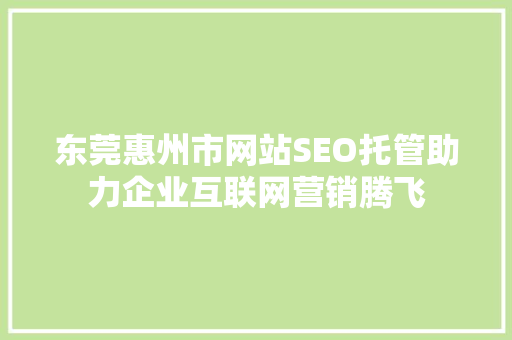 东莞惠州市网站SEO托管助力企业互联网营销腾飞