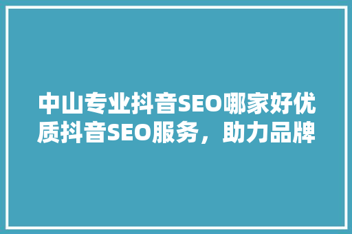 中山专业抖音SEO哪家好优质抖音SEO服务，助力品牌腾飞