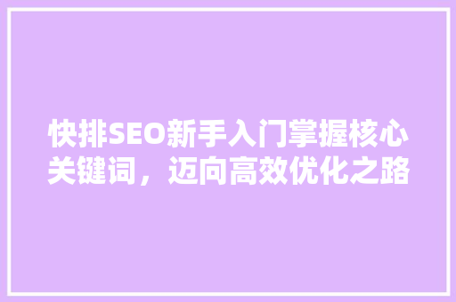 快排SEO新手入门掌握核心关键词，迈向高效优化之路