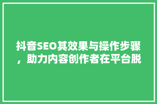 抖音SEO其效果与操作步骤，助力内容创作者在平台脱颖而出