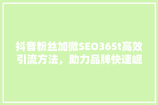 抖音粉丝加微SEO365t高效引流方法，助力品牌快速崛起