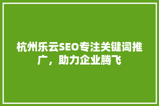 杭州乐云SEO专注关键词推广，助力企业腾飞