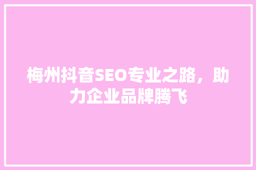 梅州抖音SEO专业之路，助力企业品牌腾飞