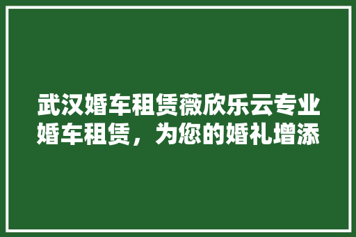 武汉婚车租赁薇欣乐云专业婚车租赁，为您的婚礼增添浪漫色彩