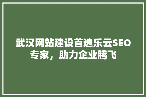武汉网站建设首选乐云SEO专家，助力企业腾飞