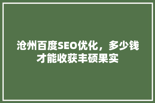 沧州百度SEO优化，多少钱才能收获丰硕果实