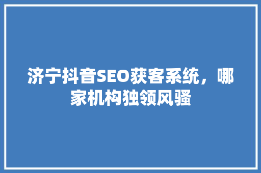济宁抖音SEO获客系统，哪家机构独领风骚