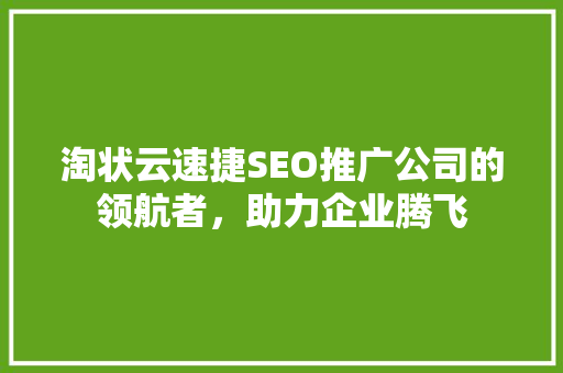 淘状云速捷SEO推广公司的领航者，助力企业腾飞
