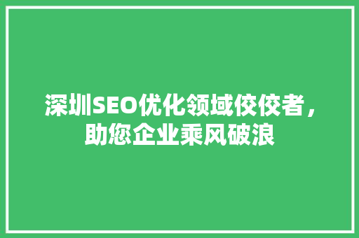深圳SEO优化领域佼佼者，助您企业乘风破浪