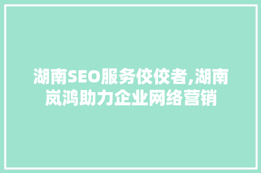湖南SEO服务佼佼者,湖南岚鸿助力企业网络营销
