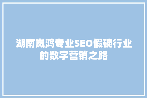 湖南岚鸿专业SEO假碗行业的数字营销之路