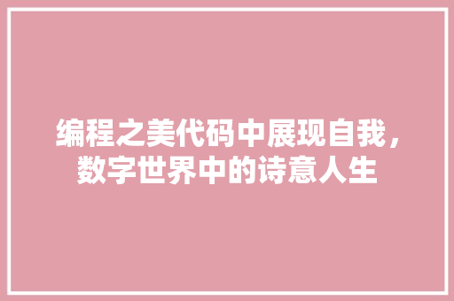 编程之美代码中展现自我，数字世界中的诗意人生