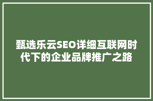 甄选乐云SEO详细互联网时代下的企业品牌推广之路