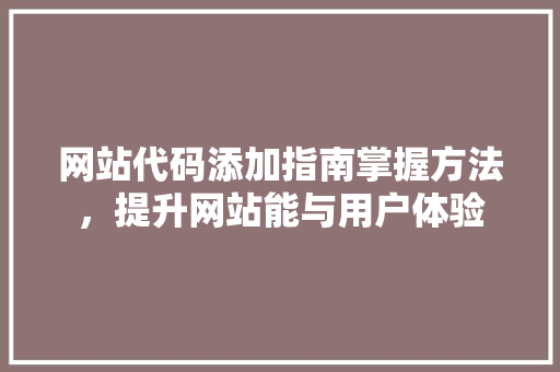 网站代码添加指南掌握方法，提升网站能与用户体验