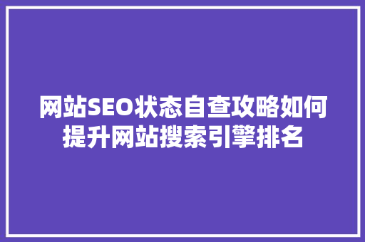 网站SEO状态自查攻略如何提升网站搜索引擎排名
