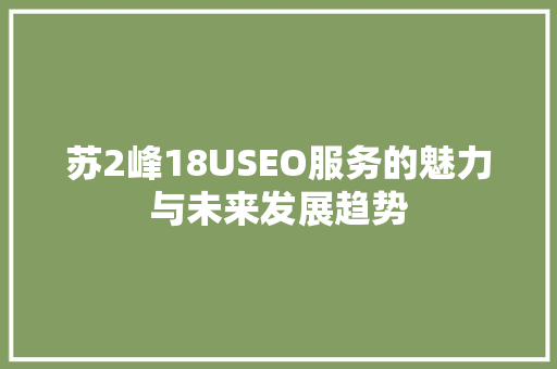 苏2峰18USEO服务的魅力与未来发展趋势