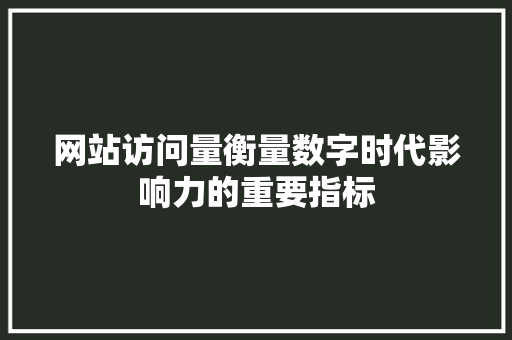 网站访问量衡量数字时代影响力的重要指标
