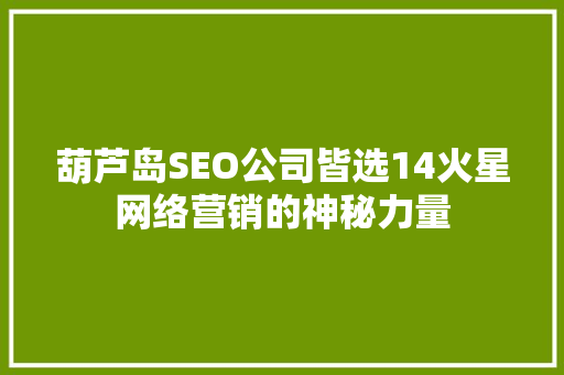 葫芦岛SEO公司皆选14火星网络营销的神秘力量