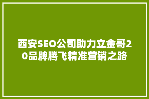 西安SEO公司助力立金哥20品牌腾飞精准营销之路