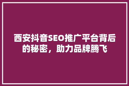 西安抖音SEO推广平台背后的秘密，助力品牌腾飞