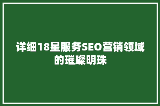 详细18星服务SEO营销领域的璀璨明珠