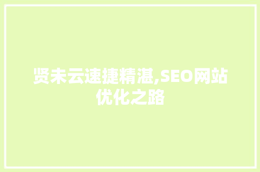 贤未云速捷精湛,SEO网站优化之路