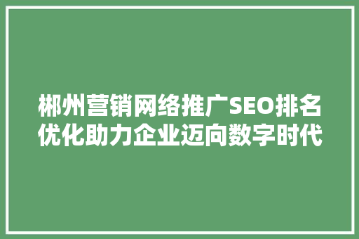 郴州营销网络推广SEO排名优化助力企业迈向数字时代新高峰