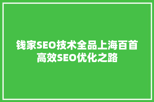 钱家SEO技术全品上海百首高效SEO优化之路