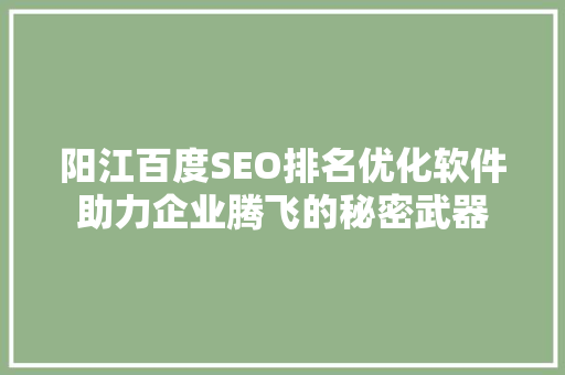 阳江百度SEO排名优化软件助力企业腾飞的秘密武器