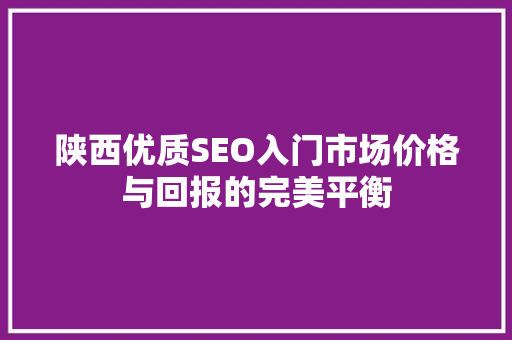 陕西优质SEO入门市场价格与回报的完美平衡