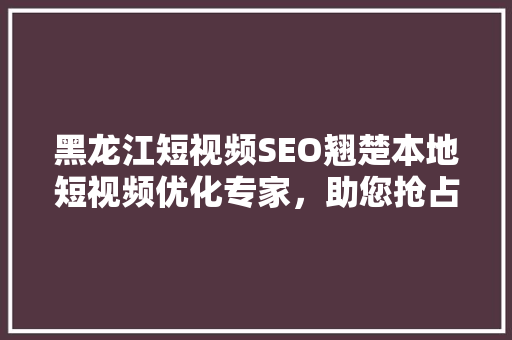 黑龙江短视频SEO翘楚本地短视频优化专家，助您抢占流量高地