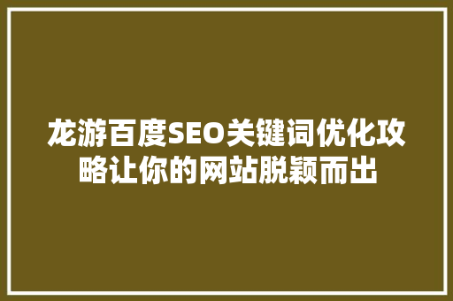 龙游百度SEO关键词优化攻略让你的网站脱颖而出