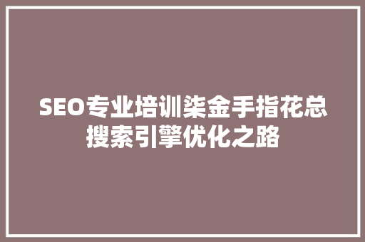 SEO专业培训柒金手指花总搜索引擎优化之路