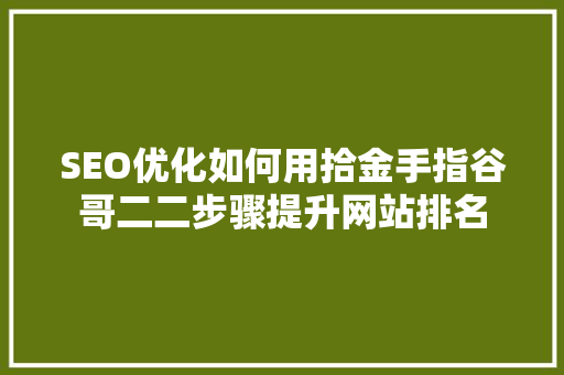 SEO优化如何用拾金手指谷哥二二步骤提升网站排名