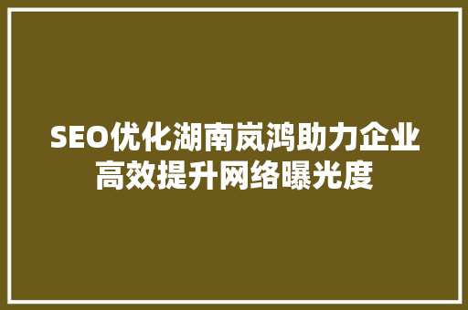 SEO优化湖南岚鸿助力企业高效提升网络曝光度