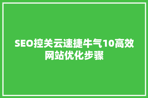 SEO控关云速捷牛气10高效网站优化步骤